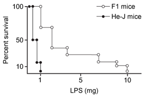 <strong>Passage Lipopolysaccharides (LPS) found in gram-negative bacterial cells can elicit a lethal degree of adjuvanticity, or immune activation, in LPS-responsive host organisms.  In mice, responses may be modulated by abnormalities in the toll-like receptor (TLR) encoded by the Tlr4 gene closely linked to coat color on Chromosome 4.  To investigate the effect of a particular Tlr4 mutation on LPS response, three experiments were performed following a cross between fully responsive He-N mice [tlr4(+)/tlr4(+)] and He-J mice homozygous for the mutation [tlr4(d)/tlr4(d)].Experiment 1Researchers isolated spleen cells for analysis of protein expression and LPS response.  In cells isolated from F1 mice, both wild-type and mutant TLRs were distinguishable by protein electrophoresis.  Following this first analysis, spleen cells from each cohort were exposed to 2 × 10<sup>5</sup> SRC, an antigen formed by sheep erythrocytes.  Cultures were then incubated in the presence or absence of Ph-LPS, with LPS extracted from Escherichia coli K345 cells using a phenol-water mixture.  Titers of anti-SRC antibody were recorded on incubation day 5, with the results shown in Table 1.<strong>Table 1</strong>  Mean anti-SRC titers with standard error   Experiment 2Serum samples were assayed for interferon production 2 hours post LPS injection.  Interferon was quantified using a plaque reduction assay on mouse cells challenged with vesicular stomatitis virus.   <strong>Figure 1</strong>  Average serum interferon levels in mice cohortsExperiment 3Mice were injected with varying doses of Ph-LPS and monitored for 4 days.  The lethal dose (LD<sub>50</sub>) was defined as the minimum dose causing death in 50% of injected mice.  Compared to He-N mice, results reflected a 10-fold increase in LD<sub>50</sub> for F1 mice and a 100-fold increase in LD<sub>50</sub> for He-J mice. According to the results of Experiment 3, which of the following could represent survival curves for F1 and He-J mice?</strong> A)   B)   C)   D)   <div style=padding-top: 35px> 