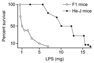 <strong>Passage Lipopolysaccharides (LPS) found in gram-negative bacterial cells can elicit a lethal degree of adjuvanticity, or immune activation, in LPS-responsive host organisms.  In mice, responses may be modulated by abnormalities in the toll-like receptor (TLR) encoded by the Tlr4 gene closely linked to coat color on Chromosome 4.  To investigate the effect of a particular Tlr4 mutation on LPS response, three experiments were performed following a cross between fully responsive He-N mice [tlr4(+)/tlr4(+)] and He-J mice homozygous for the mutation [tlr4(d)/tlr4(d)].Experiment 1Researchers isolated spleen cells for analysis of protein expression and LPS response.  In cells isolated from F1 mice, both wild-type and mutant TLRs were distinguishable by protein electrophoresis.  Following this first analysis, spleen cells from each cohort were exposed to 2 × 10<sup>5</sup> SRC, an antigen formed by sheep erythrocytes.  Cultures were then incubated in the presence or absence of Ph-LPS, with LPS extracted from Escherichia coli K345 cells using a phenol-water mixture.  Titers of anti-SRC antibody were recorded on incubation day 5, with the results shown in Table 1.<strong>Table 1</strong>  Mean anti-SRC titers with standard error   Experiment 2Serum samples were assayed for interferon production 2 hours post LPS injection.  Interferon was quantified using a plaque reduction assay on mouse cells challenged with vesicular stomatitis virus.   <strong>Figure 1</strong>  Average serum interferon levels in mice cohortsExperiment 3Mice were injected with varying doses of Ph-LPS and monitored for 4 days.  The lethal dose (LD<sub>50</sub>) was defined as the minimum dose causing death in 50% of injected mice.  Compared to He-N mice, results reflected a 10-fold increase in LD<sub>50</sub> for F1 mice and a 100-fold increase in LD<sub>50</sub> for He-J mice. According to the results of Experiment 3, which of the following could represent survival curves for F1 and He-J mice?</strong> A)   B)   C)   D)   <div style=padding-top: 35px> 