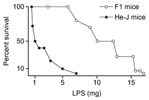 <strong>Passage Lipopolysaccharides (LPS) found in gram-negative bacterial cells can elicit a lethal degree of adjuvanticity, or immune activation, in LPS-responsive host organisms.  In mice, responses may be modulated by abnormalities in the toll-like receptor (TLR) encoded by the Tlr4 gene closely linked to coat color on Chromosome 4.  To investigate the effect of a particular Tlr4 mutation on LPS response, three experiments were performed following a cross between fully responsive He-N mice [tlr4(+)/tlr4(+)] and He-J mice homozygous for the mutation [tlr4(d)/tlr4(d)].Experiment 1Researchers isolated spleen cells for analysis of protein expression and LPS response.  In cells isolated from F1 mice, both wild-type and mutant TLRs were distinguishable by protein electrophoresis.  Following this first analysis, spleen cells from each cohort were exposed to 2 × 10<sup>5</sup> SRC, an antigen formed by sheep erythrocytes.  Cultures were then incubated in the presence or absence of Ph-LPS, with LPS extracted from Escherichia coli K345 cells using a phenol-water mixture.  Titers of anti-SRC antibody were recorded on incubation day 5, with the results shown in Table 1.<strong>Table 1</strong>  Mean anti-SRC titers with standard error   Experiment 2Serum samples were assayed for interferon production 2 hours post LPS injection.  Interferon was quantified using a plaque reduction assay on mouse cells challenged with vesicular stomatitis virus.   <strong>Figure 1</strong>  Average serum interferon levels in mice cohortsExperiment 3Mice were injected with varying doses of Ph-LPS and monitored for 4 days.  The lethal dose (LD<sub>50</sub>) was defined as the minimum dose causing death in 50% of injected mice.  Compared to He-N mice, results reflected a 10-fold increase in LD<sub>50</sub> for F1 mice and a 100-fold increase in LD<sub>50</sub> for He-J mice. According to the results of Experiment 3, which of the following could represent survival curves for F1 and He-J mice?</strong> A)   B)   C)   D)   <div style=padding-top: 35px> 