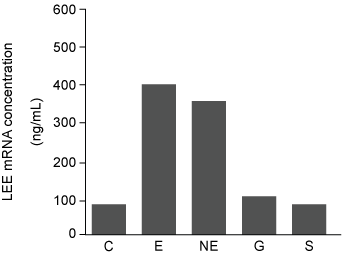 <strong>Passage Enterohemorrhagic Escherichia coli (EHEC) O157:H7 is a bacterium responsible for causing foodborne illnesses.  EHEC virulence, or the ability to cause disease, is acquired through quorum sensing, a form of bacterial cell-cell communication dependent on population density.  EHEC O157:H7 bacteria monitor population density by detecting changes in the concentration of autoinducer-3 (AI-3), an extracellular signaling molecule secreted by many bacterial species.  AI-3 generally acts on neighboring bacteria to activate the genes on the enterocyte effacement (LEE) locus.  These genes code for type III secretion proteins (EspA, EspB, EspD, Tir), which promote entry of Shiga-like toxins secreted by EHEC into host intestinal epithelial cells.  This ultimately leads to cell death, lesions, and symptoms such as bloody diarrhea and abdominal cramps.It has been reported that a mutation in S-ribosylhomocysteine lyase (LuxS), an enzyme involved in quorum sensing, may result in diminished production of AI-3.  However, researchers predict that certain peptide hormones can activate LEE gene transcription in the LuxS.  To test this hypothesis, mutant EHEC bacteria deficient in LuxS (LuxS<sup>−</sup>) were cultured and separately exposed to the hormones epinephrine (E), norepinephrine (NE), gastrin (G), and secretin (S) at 37°C.  Total RNA was extracted from the treated bacterial cultures, and LEE mRNA was quantified (Figure 1).   <strong>Figure 1</strong>  Concentration of LEE mRNA in mutant LuxS<sup>−</sup> bacteria supplemented with purified peptide hormones (Note:  C = control.)Western blot was performed to compare the presence and concentration of type III secretion proteins from wild-type (WT), LuxS<sup>−</sup>, and LuxS<sup>−</sup> cultured in preconditioned media (PCM).  PCM was generated by culturing uninfected intestinal epithelial cells in growth media for 24 hours.  After 24 hours, the cells were removed and the PCM was used to supplement the growth of LuxS<sup>−</sup> bacteria.   <strong>Figure 2</strong>  Western blot results of type III secretion proteins isolated from WT, mutant LuxS<sup>−</sup>, and LuxS<sup>−</sup> in PCM Based on the passage, what best explains the western blot results of type III secretion proteins in LuxS<sup>−</sup> E. coli cells cultured in PCM?</strong> A)Intestinal epithelial cells secreted secretin and gastrin into the PCM. B)Type III secretion proteins were produced by intestinal epithelial cells. C)LuxS<sup>−</sup> cells underwent a spontaneous reverse mutation that restored normal LuxS function. D)Compounds released by intestinal epithelial cells into the PCM activated transcription of LEE genes. <div style=padding-top: 35px> 