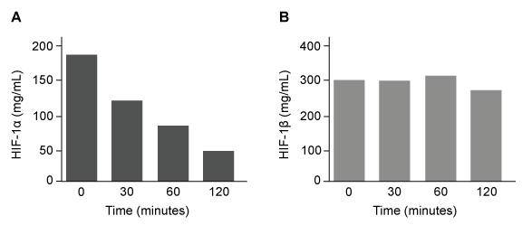 <strong>Passage The lumen of the human gut is lined by a monolayer of epithelial cells that acts as a selectively permeable barrier, preventing the passage of harmful intraluminal foreign antigens, flora, and toxins into the circulation while allowing digestion and absorption of essential dietary nutrients along with the transfer of electrolytes and water.Proteins in the tight junctions of intestinal epithelial cells maintain barrier integrity, but barrier dysfunction occurs when these cells are damaged in the setting of infection, burns, shock, or hypoxia (low oxygen levels).  The transcription factor HIF-1, a heterodimer composed of the macromolecules HIF-1α and HIF-1β, regulates the adaptive cellular response to hypoxia and the consequent expression of tight junction proteins.Researchers assessed the concentration of HIF-1 heterodimer components in human intestinal Caco-2 cells subjected to hypoxia/reoxygenation (H/R) in vitro.  Caco-2 cells, a colon-derived cell line, were cultured under specific conditions to mimic the functional and morphological phenotype of wild-type enterocytes lining the small intestine.  These cells were prepared and grown as a monolayer on a collagen-coated membrane.Next, the monolayer was cultured in hypoxic conditions and then exposed to atmospheric oxygen levels (normoxia) for 30, 60, and 120 minutes.  Protein levels were quantified using direct enzyme-linked immunosorbent assay (ELISA), in which an antibody linked to a reporter enzyme was utilized to bind and detect expression of the target molecule (analyte) in a sample.  When the colorless substrate of the reporter enzyme was added, the enzyme generated a visible colored product that could be quantified based on color intensity.   <strong>Figure 1</strong>  Concentration of (A) HIF-1α and (B) HIF-1β in Caco-2 cells subjected to H/R (Note:  0 minutes = cells cultured in hypoxic conditions)Emodin, an anthraquinone compound that prevents hypoxia-induced epithelial cell disruption, was used in conjunction with a chemical HIF-1α inhibitor (HIF-1α-I) to treat Caco-2 cells in a separate experiment.  Transepithelial electrical resistance (TEER) was assessed as a measure of barrier function, with higher TEER values indicating a more intact epithelial cell barrier.  HIF-1α-I was found to block emodin's protective effect on epithelial barrier integrity. Adapted from Lei Q, Qiang F, Chao D, et al. Int J Mol Med. 2014;34(6):1629-39. A scientist claims that ELISA, although it can accurately detect the concentration of an analyte in a sample, can generate faulty results under certain experimental settings.  Inaccurate quantification of an analyte such as HIF-1α using ELISA would most likely result from all of the following EXCEPT:</strong> A)supplementing the sample with a denaturing agent during the initial sample preparation. B)adding an amount of substrate that is disproportionate to the amount of analyte. C)detecting unbound antibodies in the sample after quantifying a color change. D)identifying a color change proportional to analyte concentration after adding the substrate. <div style=padding-top: 35px> 