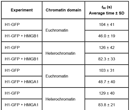 <strong>Passage Quantitative fluorescence recovery after photobleaching (FRAP) is used to study the movement of molecules in live cells.  During FRAP, the fluorescence of a green fluorescent protein (GFP)-tagged molecule is first measured and then photodestroyed in targeted cell regions.  Researchers then assess the time course for fluorescence recovery, which is an indicator of molecular mobility of the GFP-tagged protein into the photodestroyed region.  The average time required to recover 80% of the pre-bleach fluorescence of protein histone 1 (H1) fused to GFP (H1-GFP) in the photodestroyed region is given as t80.FRAP was used to analyze the mobility of the architectural H1 alone and in the presence of high-mobility group (HMG) proteins.  HMG proteins are dynamic modifiers that have been shown to have opposite effects but similar binding sites on chromatin structure.   <strong>Figure 1</strong>  Unique chromatin binding motifs of HMG proteinsDuring analysis, HMGA1 and HMGB1 were microinjected into the cytoplasm of mouse embryonic fibroblast cells expressing H1-GFP.  FRAP was performed on euchromatin and heterochromatin.  Euchromatin and heterochromatin domains were identified as regions weakly and strongly stained by H1-GFP, respectively.  The relative intensity of H1-GFP fluorescence in euchromatin and heterochromatin of uninjected and injected cells was assessed, and t80 results are shown in Table 1.<strong>Table 1</strong>  Effect of HMGB1 and HMGA1 on H1-GFP Mobility   Adapted from Catez F, Yang H, Tracey KJ, Reeves R, Misteli T, Bustin M. Network of dynamic interactions between histone H1 and high-mobility-group proteins in chromatin. Mol Cell Biol. 2004;24(10):4321-8. If HMGA1 were injected into cells expressing HMGB1-GFP instead of H1-GFP, which of the following FRAP analysis graphs would show conclusively that HMGA1 binds the same sites as HMGB1 on chromatin?  [The t80 value for HMGB1-GFP is indicated by the arrows].</strong> A)   B)   C)   D)   <div style=padding-top: 35px> 