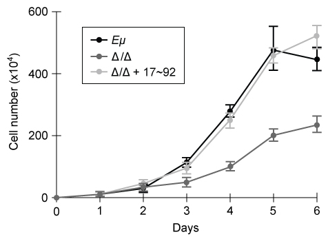<strong>Passage Overexpression of the miR-17~92 gene cluster occurs in many human cancers involving c-Myc, a gene coding for a transcription factor that regulates expression of proteins such as p21, an inhibitor of cell cycle progression.  miR-17~92 encodes six distinct microRNAs (miRNAs) that can be divided into four families based on sequence identity at positions 2-7 (Table 1).<strong>Table 1</strong>  Sequence Identities of miRNA Families Encoded by the mir-17∼92 Gene Cluster   Experiment 1Two independent, diffuse B-cell lymphoma cell lines were used to study the functional relationship between miR-17~92 transcripts and c-Myc in cancer pathogenesis.  The first cell line was derived from Eμ-Myc mice (Eμ), which overexpress a c-Myc transgene under the control of a B-cell-specific enhancer that induces early development of B-cell lymphoma.  The second cell line was derived from Eμ-Myc mice carrying a miR-17∼92 knockout allele (Δ/Δ).  As shown in Figure 1, researchers measured the growth of both cell lines, as well as that of Δ/Δ cells infected with a retrovirus expressing the entire miR-17∼92 cluster (Δ/Δ + miR-17∼92).   <strong>Figure 1</strong>  Growth curves of Eμ cells, Δ/Δ cells, and Δ/Δ + miR-17∼92 cells (error bars = standard deviation)Experiment 2To assess the relative contribution of each miRNA to the oncogenic ability of the miR-17∼92 cluster, Δ/Δ cell lines were transduced with an empty vector or with miR-17∼92 mutant allele constructs that were engineered to lack expression of miRNA from at least one of the four families.  In each of the constructs, the family that was knocked out of the vector is indicated by the Δ symbol.  After verifying that the transduced cells correctly expressed the desired miRNA, the fraction of apoptotic cells in each line was measured (Figure 2).   <strong>Figure 2</strong>  Percentage of apoptotic cells in Eμ cells and Δ/Δ cells transduced with the indicated miR-17~92 construct (error bars = standard deviation) Adapted from Mu P, Han YC, Betel D, et al. Genetic dissection of the miR-17~92 cluster of microRNAs in Myc-induced B-cell lymphomas. Genes Dev. 2009;23(24):2806-11. As described in the passage, verification that the transduced cells expressed the desired miRNA was an essential experimental step to ensure that:</strong> A)lack of expression of one or more miRNA encoded by the miR-17∼92 cluster did not affect the rate of apoptosis in tested cells. B)transduction of tested cells with mutant miR-17∼92 alleles did not induce the development of B-cell lymphoma. C)deletion of one or more miRNA encoded by the miR-17∼92 cluster did not affect expression of the remaining miRNAs encoded by the constructs. D)expression of one or more mutant miR-17∼92 alleles did not provide the transduced cells with a selective growth advantage. <div style=padding-top: 35px> 