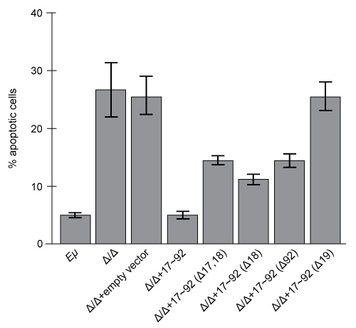 <strong>Passage Overexpression of the miR-17~92 gene cluster occurs in many human cancers involving c-Myc, a gene coding for a transcription factor that regulates expression of proteins such as p21, an inhibitor of cell cycle progression.  miR-17~92 encodes six distinct microRNAs (miRNAs) that can be divided into four families based on sequence identity at positions 2-7 (Table 1).<strong>Table 1</strong>  Sequence Identities of miRNA Families Encoded by the mir-17∼92 Gene Cluster   Experiment 1Two independent, diffuse B-cell lymphoma cell lines were used to study the functional relationship between miR-17~92 transcripts and c-Myc in cancer pathogenesis.  The first cell line was derived from Eμ-Myc mice (Eμ), which overexpress a c-Myc transgene under the control of a B-cell-specific enhancer that induces early development of B-cell lymphoma.  The second cell line was derived from Eμ-Myc mice carrying a miR-17∼92 knockout allele (Δ/Δ).  As shown in Figure 1, researchers measured the growth of both cell lines, as well as that of Δ/Δ cells infected with a retrovirus expressing the entire miR-17∼92 cluster (Δ/Δ + miR-17∼92).   <strong>Figure 1</strong>  Growth curves of Eμ cells, Δ/Δ cells, and Δ/Δ + miR-17∼92 cells (error bars = standard deviation)Experiment 2To assess the relative contribution of each miRNA to the oncogenic ability of the miR-17∼92 cluster, Δ/Δ cell lines were transduced with an empty vector or with miR-17∼92 mutant allele constructs that were engineered to lack expression of miRNA from at least one of the four families.  In each of the constructs, the family that was knocked out of the vector is indicated by the Δ symbol.  After verifying that the transduced cells correctly expressed the desired miRNA, the fraction of apoptotic cells in each line was measured (Figure 2).   <strong>Figure 2</strong>  Percentage of apoptotic cells in Eμ cells and Δ/Δ cells transduced with the indicated miR-17~92 construct (error bars = standard deviation) Adapted from Mu P, Han YC, Betel D, et al. Genetic dissection of the miR-17~92 cluster of microRNAs in Myc-induced B-cell lymphomas. Genes Dev. 2009;23(24):2806-11. As described in the passage, verification that the transduced cells expressed the desired miRNA was an essential experimental step to ensure that:</strong> A)lack of expression of one or more miRNA encoded by the miR-17∼92 cluster did not affect the rate of apoptosis in tested cells. B)transduction of tested cells with mutant miR-17∼92 alleles did not induce the development of B-cell lymphoma. C)deletion of one or more miRNA encoded by the miR-17∼92 cluster did not affect expression of the remaining miRNAs encoded by the constructs. D)expression of one or more mutant miR-17∼92 alleles did not provide the transduced cells with a selective growth advantage. <div style=padding-top: 35px> 