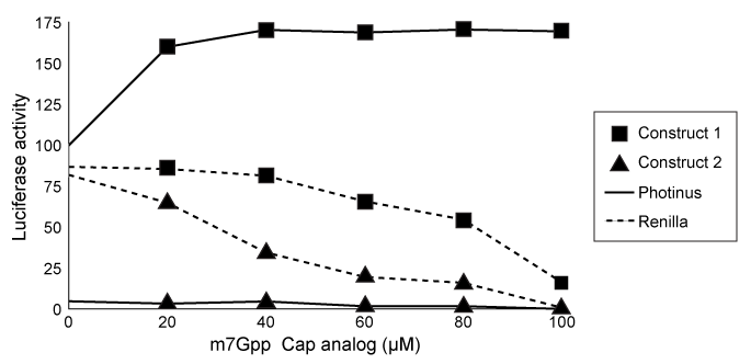<strong>Passage Alzheimer disease (AD) is a progressive condition affecting memory and cognition that can be pathologically characterized by the presence of neurofibrillary tangles (NFTs).  NFTs, aggregates of hyperphosphorylated tau proteins that have dissociated from microtubules, are believed to contribute to neuronal degradation and subsequent AD symptoms.  In general, ribosomes initiate translation of tau mRNA by binding the 7-methylguanosine (m7Gpp) cap present at the end of the 5′ untranslated region (UTR) of the mRNA molecule.  However, researchers believe that tau protein translation initiation can occur without recognition of the m7Gpp cap.  This alternate mechanism, referred to as cap-independent translation, indicates that ribosomes are recruited by internal ribosome entry sites (IRES) generally located in the 5′ UTR of the mRNA sequence.To determine the initiation mechanism of tau mRNA translation, neuroblastoma cells of AD mice were transfected with two different DNA constructs (Figure 1).  Construct 1 contained the 5′ UTR of tau mRNA isoforms (v1 and v2) extracted from cells displaying NFTs.  Construct 2 included the 5′ UTR of the β-globulin gene, which normally codes for a plasma protein.  The luciferase reporter genes, Renillla and Photinus, were also included in the two constructs. /_ /_   <strong>Figure 1</strong>  DNA constructs containing β-globulin or tau gene used to transfect neuroblastoma cellsLuciferase gene expression from the constructs was monitored in the absence and presence of a synthetic m7Gpp cap analog (Figure 2).  Translation of Renillla luciferase mRNA depended on ribosomal binding to the m7Gpp cap of the mRNA, but translation of Photinus luciferase required ribosome recruitment by an IRES in the 5′ UTR of the adjacent gene.   <strong>Figure 2</strong>  Luciferase activity in neuroblastoma cells exposed to m7Gpp cap analogIn a second study, researchers used siRNA to target initiation factor eIF4E, a peptide translated in a cap-dependent manner that facilitates the binding of ribosomes to the m7Gpp cap.  Expression of factor eIF4E, elongation factor eEF2K, and tau v2 protein was assessed in siRNA-treated cells (Figure 3).   <strong>Figure 3</strong>  Western blot of eIF4E, eEF2K, and tau v2 extracted from non-AD cells treated with eIF4E siRNA Adapted from Veo BL, Krushel LA. Translation initiation of the human tau mRNA through an internal ribosomal entry site. J Alzheimers Dis. 2009; 16(2):271-5. What conclusion can be made from the results shown in Figure 3?</strong> A)siRNA only binds the mRNA transcripts of proteins that facilitate IRES-ribosome binding. B)siRNA signals for the degradation of proteins that facilitate elongation of tau v2 proteins. C)eIF4e mRNA is translated via a cap-independent process. D)eEF2K mRNA is translated via a cap-dependent process. <div style=padding-top: 35px> 