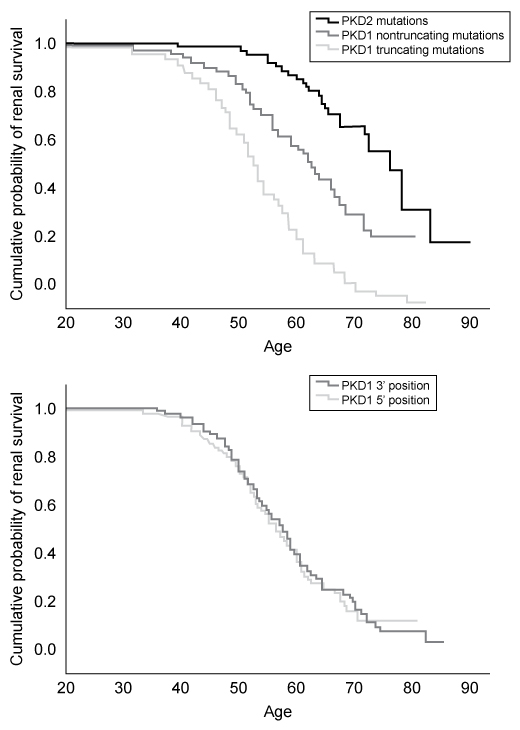 Passage Autosomal dominant polycystic kidney disease (ADPKD)  is one of the most common heterogeneous disorders, with a reported incidence of 1 in 1,000 people.  The primary pathology is the development of numerous fluid-filled renal cysts that ultimately expand and severely impair kidney function.  By age 60, approximately 50% of patients with ADPKD progress to end-stage renal disease (ESRD)  and kidney failure.  Clinical complications include high blood pressure, urinary tract infections, and cysts in other organs such as the liver and pancreas.Approximately 85% of ADPKD cases are caused by mutations in the PKD1 gene, which codes for the protein polycystin-1 (PC1) .  The remaining 15% of cases are caused by mutations in the PKD2 gene, which codes for the protein polycystin-2 (PC2) .  The PC2 protein functions as a mechanically activated calcium (Ca<sup>2+</sup>)  channel in ciliated renal epithelial cells.  PC1 and PC2 interact via their C-terminal cytoplasmic tails to form a heteromer that modulates intracellular calcium homeostasis.  Disruption of calcium signaling as a result of mutations in either PKD1 or PKD2 is associated with increased cell growth and cyst formation in ADPKD patients.To identify individuals with mutations in PKD1 and PKD2, researchers analyzed phenotypic and genetic data from patients with established renal disease, as shown in Table 1.<strong>Table 1</strong>  Comparison of Renal Disease Onset and Symptom Severity in Various Patient Groups    Next, researchers examined how phenotypic disease severity was affected by both the position of the mutations in PKD1 (5′ or 3′ end)  and the type of mutation in PKD1 or PKD2.  In Figure 1, disease severity is given as the cumulative probability of renal survival as a function of age.    <strong>Figure 1</strong>  Probability of maintaining healthy kidney physiology as a function of age, analyzed by mutation type and position Adapted from Cornec-le gall E, Audrézet MP, Chen JM, et al. J Am Soc Nephrol. 2013;24(6) :1006-13. -Which set of amino acids would most likely be found in the pore of the channel formed by PC2?  (Assume the amino acids are at physiological pH.)  A) D and E B) R and K C) V and L D) S and T