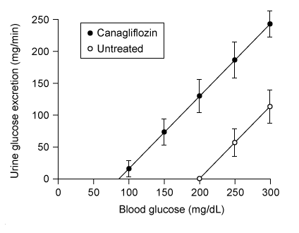Passage Renal reabsorption of glucose is facilitated by sodium-glucose linked transporters (SGLTs) , which are secondary active transport proteins located in the apical membrane of the proximal tubular cells in the kidney.  SGLT activity determines the transport maximum of glucose T<sub>m</sub>, the maximum rate at which the kidneys can reabsorb glucose.Excretion of glucose in the urine (glycosuria)  occurs when the glomerular filtration rate (GFR)  of glucose exceeds the T<sub>m</sub>.  Glycosuria is a symptom of diabetes mellitus, a disease marked by hyperglycemia (elevated serum glucose) .  Uncontrolled hyperglycemia can damage the nerves that innervate urinary tract musculature, resulting in urinary retention (inability to fully empty the bladder)  or incontinence (involuntary urine leakage) .Canagliflozin is a SGLT inhibitor used for the treatment for diabetes.  The effect of canagliflozin on renal glucose reabsorption was tested in a glucose infusion experiment in patients with type 2 diabetes mellitus (T2DM) .  First, researchers measured the participants' fasting serum glucose levels (average ~80 mg/dL)  and then began a continuous intravenous infusion of a glucose solution.  The rate of glucose infusion was adjusted such that blood glucose concentration steadily rose to 300 mg/dL.  Blood and urine glucose concentrations were measured at 30-minute intervals.  The experiment was later repeated in the same patients following canagliflozin administration (100 mg, once a day for seven days) .  The results of both trials are shown in Figure 1.    <strong>Figure 1</strong>  Mean urine glucose excretion versus blood glucose concentration in patients with T2DM, with and without canagliflozin treatmentResearchers then estimated the new T<sub>m</sub> of glucose following canagliflozin treatment (Figure 2) .  Canagliflozin was found to also lower fasting blood glucose in individuals with T2DM.  Side effects included weight loss, increased urinary frequency, excessive thirst, and blood pressure reduction.    <strong>Figure 2</strong>  Mean rate of renal glucose reabsorption versus plasma glucose concentration in patients with T2DM, with and without canagliflozin treatment -The critical concentration of plasma glucose necessary to induce glycosuria is termed the renal threshold of glucose.  Compared to untreated T2DM patients, the renal threshold of glucose in T2DM patients treated with canagliflozin is: A) higher by approximately 75 mg/dL. B) higher by approximately 175 mg/dL. C) lower by approximately 115 mg/dL. D) lower by approximately 300 mg/dL.