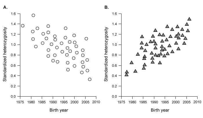 Passage The Namibian cheetah (Acinonyx jubatus jubatus) , the world's fastest land-dwelling animal, hunts across the African grasslands using high-speed sprints.  Cheetahs possess unique anatomical features specialized for speed, including an aerodynamic skull, elongated legs, and an enlarged heart.  These physiological adaptations have occurred over time and allow cheetahs to achieve speeds greater than 100 km/h.  However, due to their small body and slender limbs, cheetahs (50-64 kg)  are limited with regard to the size of the animals they can successfully hunt and therefore typically prey on slightly smaller species that inhabit open grasslands.It is believed that around 12,000 years ago, Namibian cheetahs experienced an environmental catastrophe that drastically reduced their population.  The small number of surviving cheetahs began mating with one another, which led to severe inbreeding depression.  Over time, the offspring of subsequent generations exhibited decreased fitness, reduced fecundity (number of offspring) , and sustained a loss of major histocompatibility complex (MHC)  allele diversity.  To study if low MHC diversity correlates with low fitness in cheetahs, scientists analyzed the genetic diversity and disease prevalence in a group of free-ranging and captive male cheetahs.Experiment 1MHC allele genotyping and analysis was performed in wild (free-ranging)  and captive male cheetahs (Figure 1) .  Because MHC diversity is strongly correlated with genetic diversity, MHC diversity is used as a marker for an organism's overall genetic variability.    <strong>Figure 1</strong>  Evaluation of heterozygosity in (A)  wild and (B)  captive male cheetahs born between 1976 and 2007 (Note:  Each data point represents a single male cheetah.) Experiment 2Disease prevalence was evaluated in wild and captive male cheetahs by quantitative analysis of symptoms relating gastrointestinal, liver, and kidney disease.  The percentages of cheetahs affected by each disease are shown in Figure 2.    <strong>Figure 2</strong>  Evaluation of disease prevalence in wild and captive male cheetahsExperiment 3Fecal cortisol levels were noninvasively evaluated in wild and captive cheetahs over a period of 6 months (Figure 3) .    <strong>Figure 3</strong>  Average fecal cortisol concentrations of wild and captive male cheetahs Adapted from Castro-prieto A, Wachter B, Sommer S. Cheetah paradigm revisited: MHC diversity in the world's largest free-ranging population. Mol Biol Evol. 2011;28(4) :1455-68. -Researchers concluded that captive cheetahs have reduced fitness because of their increased susceptibility to diseases.  What can best explain the decreased fitness of captive cheetahs? A) Increased MHC diversity B) Decreased MHC diversity C) Increased environmental stress D) Decreased environmental stress