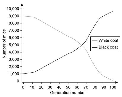 In an isolated population of mice, 10,000 mice are randomly sampled every 10 generations and their coat colors are recorded for a scientific study.  The data for 100 generations of mice are shown in the graph below.   Which of the following conclusions about the black and white mice in this population is best supported by the graph? A) A population bottleneck caused the loss of white mice from the population but did not affect black mice. B) A mating event among white mice produced black mice that went on to have higher reproductive success than white mice. C) An environmental change resulted in natural selection for black mice but against white mice. D) A speciation event caused the lineage of white mice to split into a new species of black mice and decrease in frequency over time.