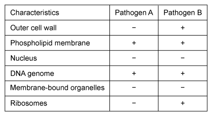 Scientists identified two distinct pathogens in blood samples taken from mice.  They analyzed both pathogens in the laboratory and recorded the presence or absence of certain characteristics in the table below (NOTE: + indicates presence and − indicates absence) .   They concluded that both pathogens are prokaryotic cells.  Do the data support this conclusion? A) Yes, because prokaryotes lack membrane-bound organelles. B) No, because ribosomes are found in all prokaryotes. C) Yes, because the genomes of all prokaryotes consist of DNA. D) No, because prokaryotes are not surrounded by an outer cell wall.