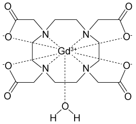 Passage Magnetic resonance imaging (MRI)  interprets the nuclear relaxation or relaxivity of hydrogen nuclei in resident water molecules.  Hydrogen nuclei in water have two magnetic spin states:  alpha and beta.  In the presence of an applied magnetic field, these spins will align with the field in an  excited  state and then relax back to the  ground  state, producing a signal with intensity proportional to relaxivity.  Frequently, an MRI contrast agent is used to increase the relaxation time in coordinated molecules, resulting in a more intense signal.Commonly used contrast agents include gadolinium-based agents.  Depending on its environment, gadolinium (Gd)  can have eight or nine sites in its coordination sphere, allowing Gd<sup>3+</sup> to interact with eight water molecules as in Gd(H<sub>2</sub>O) <sub>8</sub><sup>3+</sup>.  The electronic configuration of gadolinium is shown in Figure 1.    <strong>Figure 1</strong>  Electronic configuration of gadoliniumGd<sup>3+</sup> alone is toxic to cells because its ionic radius is similar to that of Ca<sup>2+</sup>, allowing Gd<sup>3+</sup> to displace Ca<sup>2+</sup> in biologically important settings.  Therefore, Gd<sup>3+</sup> must be coordinated to an organic ligand such as 1,4,7,10-tetraazacyclododecane-1,4,7,10-tetraacetic acid (DOTA)  to allow it to pass through the body safely.  When chelated, DOTA displaces the water around gadolinium and leaves only one coordination site for a water molecule (Figure 2) .    <strong>Figure 2</strong>  Gd-DOTA with a water coordinated to Gd<sup>3+</sup>Zinc ions (Zn<sup>2+</sup>)  are required to store insulin and are co-released when insulin is secreted by the pancreas.  To detect zinc ions in the body, researchers have designed a variation of Gd-DOTA called Gd-daa3 with two diaminoacetate (daa)  arms that preferentially bind to Zn<sup>2+</sup> ions (Figure 3) .  When Zn<sup>2+</sup> is absent, these arms coordinate to Gd<sup>3+</sup> and create a nine-coordinate complex that prohibits water from binding to Gd<sup>3+</sup>.  Binding of diaminoacetate arms to Zn<sup>2+</sup> frees Gd<sup>3+</sup> to coordinate with water molecules.  This configuration results in increased signal intensity in the parts of the cell where Zn<sup>2+</sup> is located.    <strong>Figure 3</strong>  Gd-daa3 when Zn<sup>2+</sup> is present Adapted from Louie A. MRI biosensors: a short primer. J Magn Reson Imaging. 2013;38(3) :530-9. -The Heisenberg uncertainty principle impacts the study of nuclei and small particles such as electrons.  Which of the following is a consequence of this principle? A) Two electrons in the same orbital cannot both have parallel alignment with the magnetic field. B) Neutrons and protons are affected by the nuclear force almost identically. C) Electrons in coordination bonds can be described only as probability distributions. D) Particles will emit energy when transitioning from an excited state to a ground state.