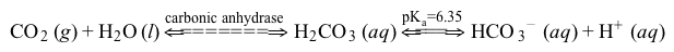 Passage The bicarbonate (HCO<sub>3</sub><sup>−</sup>)  buffer system (Reaction 1)  helps to maintain acid-base homeostasis and a blood pH near 7.4.  Therefore, concentrations of carbon dioxide (CO<sub>2</sub>)  and HCO<sub>3</sub><sup>−</sup> must be tightly regulated through adaptations in respiratory and renal physiology.  For patients with suspected acid-base imbalance, these concentrations can be monitored by blood gas analysis performed on arterial or venous blood.    CO2g+H2Ol⇔carbonic anhydraseH2CO3aq⇔pKa=6.35HCO3-aq+H+aq<strong>Reaction 1</strong>In most automated blood gas analyzers, ionized hydrogen, CO<sub>2</sub>, and oxygen (O<sub>2</sub>)  in the sample diffuse through semipermeable membranes and are measured at separate electrodes (Figure 1) .  The pH-sensitive glass electrode (E1)  is separated from the blood sample by a membrane permeable to hydrogen ions. The sample pH is determined according to the voltage difference between E1 and a reference electrode maintained in a solution of standard pH.  CO<sub>2</sub> diffuses across a gas-permeable membrane to E2, where it reacts to generate HCO<sub>3</sub><sup>−</sup> and free hydrogen ions.  In a modification of the mechanism used in E1, partial pressure of CO<sub>2</sub> (PaCO<sub>2</sub>)  is calculated indirectly from the change in pH, as determined by the potential difference between E2 and its reference electrode.E3, also called the Clark electrode, is an electrochemical cell containing a silver anode and a platinum cathode.  O<sub>2</sub> diffuses through another gas-permeable membrane and reacts with hydrogen ions to form water.  The current measured at E3 is then used to calculate PaO<sub>2</sub> in the blood sample.    <strong>Figure 1</strong>  Automated blood gas analyzerThe concentration of carbonic acid (H<sub>2</sub>CO<sub>3</sub>) , reported in milliequivalents per liter (mEq/L) , can be calculated from PaCO<sub>2</sub> by Equation 1:    H2CO3mEqL=0.03×PaCO2mm Hg<strong>Equation 1</strong>Subsequently, using the concentration of H<sub>2</sub>CO<sub>3</sub> obtained from Equation 1, the HCO<sub>3</sub><sup>−</sup> concentration resulting from decomposition of carbonic acid can then be calculated by applying the Henderson-Hasselbalch equation. -In the Clark electrode, O<sub>2</sub> from the blood is: A) oxidized at the anode. B) oxidized at the cathode. C) reduced at the anode. D) reduced at the cathode.