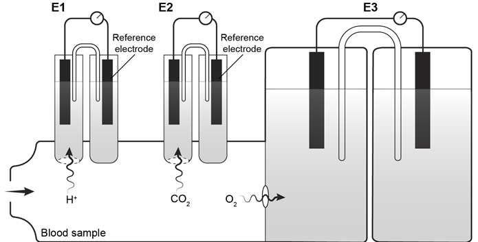 Passage The bicarbonate (HCO<sub>3</sub><sup>−</sup>)  buffer system (Reaction 1)  helps to maintain acid-base homeostasis and a blood pH near 7.4.  Therefore, concentrations of carbon dioxide (CO<sub>2</sub>)  and HCO<sub>3</sub><sup>−</sup> must be tightly regulated through adaptations in respiratory and renal physiology.  For patients with suspected acid-base imbalance, these concentrations can be monitored by blood gas analysis performed on arterial or venous blood.    CO2g+H2Ol⇔carbonic anhydraseH2CO3aq⇔pKa=6.35HCO3-aq+H+aq<strong>Reaction 1</strong>In most automated blood gas analyzers, ionized hydrogen, CO<sub>2</sub>, and oxygen (O<sub>2</sub>)  in the sample diffuse through semipermeable membranes and are measured at separate electrodes (Figure 1) .  The pH-sensitive glass electrode (E1)  is separated from the blood sample by a membrane permeable to hydrogen ions. The sample pH is determined according to the voltage difference between E1 and a reference electrode maintained in a solution of standard pH.  CO<sub>2</sub> diffuses across a gas-permeable membrane to E2, where it reacts to generate HCO<sub>3</sub><sup>−</sup> and free hydrogen ions.  In a modification of the mechanism used in E1, partial pressure of CO<sub>2</sub> (PaCO<sub>2</sub>)  is calculated indirectly from the change in pH, as determined by the potential difference between E2 and its reference electrode.E3, also called the Clark electrode, is an electrochemical cell containing a silver anode and a platinum cathode.  O<sub>2</sub> diffuses through another gas-permeable membrane and reacts with hydrogen ions to form water.  The current measured at E3 is then used to calculate PaO<sub>2</sub> in the blood sample.    <strong>Figure 1</strong>  Automated blood gas analyzerThe concentration of carbonic acid (H<sub>2</sub>CO<sub>3</sub>) , reported in milliequivalents per liter (mEq/L) , can be calculated from PaCO<sub>2</sub> by Equation 1:    H2CO3mEqL=0.03×PaCO2mm Hg<strong>Equation 1</strong>Subsequently, using the concentration of H<sub>2</sub>CO<sub>3</sub> obtained from Equation 1, the HCO<sub>3</sub><sup>−</sup> concentration resulting from decomposition of carbonic acid can then be calculated by applying the Henderson-Hasselbalch equation. -In the Clark electrode, O<sub>2</sub> from the blood is: A) oxidized at the anode. B) oxidized at the cathode. C) reduced at the anode. D) reduced at the cathode.