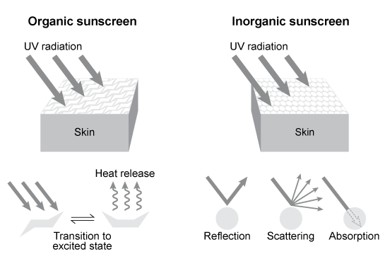 Passage Depending on the active compound's specific method of action, sunscreens are broadly classified into two groups: organic and inorganic.  Organic sunscreens typically contain aromatic compounds that absorb ultraviolet (UV)  radiation. The absorbed energy from the UV radiation causes these compounds to enter electronically excited states which then relax back to the ground state and harmlessly re-emit the absorbed radiation as heat.  Alternatively, inorganic sunscreens contain metallic nanoparticles that serve to reflect, scatter, and absorb incident radiation.  The mechanism for UV protection of each group is shown in Figure 1.    <strong>Figure 1</strong>  Method of action for organic and inorganic sunscreensThe effectiveness of sunscreens is traditionally evaluated based on their ability to prevent reddening of the skin, as indicated by their sun protection factor (SPF) .  However, studies have shown that additional deleterious effects, such as the suppression of T cell-mediated immune responses, can occur at lower UV doses than erythema, indicating the need for new metrics to judge sunscreen efficacy.  For this reason, researchers conducted a study to compare the protective ability of six sunscreens against photo-isomerization of the photoreceptor trans-urocanic acid (UCA)  to its cis form, a process believed to be linked to UV-induced immunosuppression.  Table 1 lists the sunscreens tested and their relevant characteristics.<strong>Table 1</strong>  Results from Tested Sunscreens    In vivo experiments were conducted on two groups of human volunteers.  Participants in the acute exposure group received a single UV dose of 100 mJ/cm<sup>2</sup> whereas participants in the chronic exposure group received the same dosage once daily over four consecutive days.  Each sunscreen was applied to a different spot on the volunteers' back prior to irradiation.  A portion of skin without sunscreen was also irradiated to serve as a control.  After irradiation, the sunscreens were removed and the skin was wiped with filter papers.  Filters were washed with potassium hydroxide, and the aqueous solution was analyzed for UCA using high-pressure liquid chromatography.  Figure 2 shows the mean percentages of cis-UCA formed upon irradiation for each exposure type and sunscreen tested.    <strong>Figure 2</strong>  Percentage of UCA in cis configuration upon UV exposure with various sunscreens Adapted from Van der molen RG, Out-luiting C, Driller H, Claas FH, Koerten HK, Mommaas AM. Broad-spectrum sunscreens offer protection against urocanic acid photoisomerization by artificial ultraviolet radiation in human skin. J Invest Dermatol. 2000;115(3) :421-6. -What is the molarity of cinoxate (0.250 kg/mol)  in 100 mL of sunscreen B16 (density = 1 g/mL) ? A) 100 M B) 0.0010 M C) 1.0 M D) 1000 M
