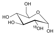 Passage The radiopharmaceutical 2-deoxy-2-(<sup>18</sup>F) fluoro-D-glucose (abbreviated as <sup>18</sup>F-FDG) is a modified form of D-glucose in which the hydroxyl group on the 2-carbon of the molecule has been replaced with a positron-emitting <sup>18</sup>F radionuclide. Synthesis of <sup>18</sup>F-FDG is accomplished in several steps involving both nuclear and chemical reactions, as shown in Figure 1. <strong>Figure 1</strong> Synthetic scheme for 2-deoxy-2-(<sup>18</sup>F) fluoro-D-glucoseInitially, a target of <sup>18</sup>O-enriched water (<sup>18</sup>OH<sub>2</sub>) is bombarded by protons using a cyclotron to achieve a (p-n) nuclear reaction in which a proton hitting the <sup>18</sup>O nucleus is absorbed by the nucleus, causing the ejection of a neutron and forming an <sup>18</sup>F nucleus. Following separation of the resulting <sup>18</sup>F<sup>−</sup> anions from the residual <sup>18</sup>OH<sub>2</sub> via an ion exchange column, <sup>18</sup>F<sup>−</sup> is used in a nucleophilic substitution reaction with an acetylated mannose triflate substrate. Subsequent hydrolysis to remove the acetyl protecting groups yields <sup>18</sup>F-FDG.Because <sup>18</sup>F-FDG is an analog of D-glucose, it is readily taken into cells by the same metabolic processes as D-glucose. Once inside the cells, the positron emissions of the <sup>18</sup>F radionuclide can be detected by positron emission tomography (PET) scans to produce diagnostic medical images of objects such as tumors. Emissions from the <sup>18</sup>F radionuclide subsequently diminish over time via radioactive decay (Figure 2) . <strong>Figure 2</strong> Nuclear decay of the <sup>18</sup>F radionuclideBecause of limitations in the spatial resolution of PET scanners, when an object (such as a tumor) is smaller than 30 mm in diameter, the measured specific uptake value (SUV) of <sup>18</sup>F-FDG accumulated within the object is lower than the actual SUV. The recovery coefficient (the ratio of the measured SUV to the actual SUV) shows that the measured SUV decreases as the size of the object decreases below the 30-mm threshold (Figure 3) . <strong>Figure 3</strong> Recovery coefficient as a function of object size in a PET scan with a spatial resolution of 7 mm using ordered subsets expectation maximization (OSEM) image processing Adapted from: S. Yu. Review of F-FDG Synthesis and Quality Control. Biomed Imaging Interv J. ©2006 Department of Biomedical Imaging, Faculty of Medicine, University of Malaysa; and P. E. Kinahan, et al., Positron emission tomography-computed tomography standardized uptake values in clinical practice and assessing response to therapy. Semin Ultrasound CT MR. ©2010 Elsevier. -Which of the following products is formed from <sup>18</sup>F-FDG following a positron emission? (Note: Assume any anions produced acquire hydrogen ions from the aqueous physiological environment.) A) B) C) D)