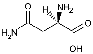 <strong>Passage A limited number of cellular functions exist for D-amino acids, such as the structural role of D-alanine and D-glutamate in bacterial cell walls. Because genetically encoded amino acids are synthesized in the L form, production of D-amino acids depends on enzymes called racemases. With the exception of cysteine, conversion of an L-amino acid to a D-amino acid corresponds to the conversion of an S stereoisomer to an R stereoisomer. The mechanism of conversion requires the formation of a high-energy carbanion intermediate. Although pyridoxal phosphate (PLP)-dependent amino acid racemases such as glutamate racemase use PLP as a coenzyme to stabilize this intermediate, the reaction catalyzed by PLP-independent racemases such as alanine racemase proceeds through the enolate intermediate shown in Figure 1. <strong>Figure 1</strong> PLP-independent amino acid racemase reactionThe first step in most PLP-dependent reactions is the condensation of an aldehyde group on the coenzyme PLP. This forms a Schiff base linking PLP to a lysine side chain on the enzyme's active site. The lysine is then substituted with the amino acid to be converted from L to D configuration (Figure 2). <strong>Figure 2</strong> Formation of an amino acid-PLP adductThe next step in PLP-dependent reactions is the removal of the amino acid's α-hydrogen by a base in the enzyme's active site. A quinonoid intermediate and two additional intermediates are formed, as shown in Figure 3. The final step includes the rebonding of PLP to the enzyme's active site and the release of the D-amino acid. <strong>Figure 3</strong> Intermediates of a PLP-dependent amino acid racemase-catalyzed reactionOther PLP-dependent enzymes participate in the decarboxylation of amino acids via a similar mechanism. Such enzymes break the bond between the carboxylate carbon and α-carbon in an amino acid by forming a quinonoid intermediate, which helps stabilize the carbanion intermediate of the reaction. Adapted from Cava F, Lam H, De pedro MA, Waldor MK. Emerging knowledge of regulatory roles of D-amino acids in bacteria. Cell Mol Life Sci. 2011. Which of the following structures is the substrate for the reaction catalyzed by glutamate racemase, whose product is incorporated into bacterial cell walls?</strong> A) B) C) D)