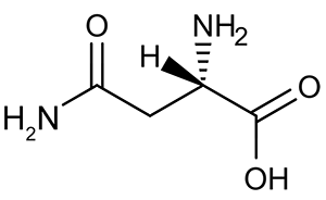 <strong>Passage A limited number of cellular functions exist for D-amino acids, such as the structural role of D-alanine and D-glutamate in bacterial cell walls. Because genetically encoded amino acids are synthesized in the L form, production of D-amino acids depends on enzymes called racemases. With the exception of cysteine, conversion of an L-amino acid to a D-amino acid corresponds to the conversion of an S stereoisomer to an R stereoisomer. The mechanism of conversion requires the formation of a high-energy carbanion intermediate. Although pyridoxal phosphate (PLP)-dependent amino acid racemases such as glutamate racemase use PLP as a coenzyme to stabilize this intermediate, the reaction catalyzed by PLP-independent racemases such as alanine racemase proceeds through the enolate intermediate shown in Figure 1. <strong>Figure 1</strong> PLP-independent amino acid racemase reactionThe first step in most PLP-dependent reactions is the condensation of an aldehyde group on the coenzyme PLP. This forms a Schiff base linking PLP to a lysine side chain on the enzyme's active site. The lysine is then substituted with the amino acid to be converted from L to D configuration (Figure 2). <strong>Figure 2</strong> Formation of an amino acid-PLP adductThe next step in PLP-dependent reactions is the removal of the amino acid's α-hydrogen by a base in the enzyme's active site. A quinonoid intermediate and two additional intermediates are formed, as shown in Figure 3. The final step includes the rebonding of PLP to the enzyme's active site and the release of the D-amino acid. <strong>Figure 3</strong> Intermediates of a PLP-dependent amino acid racemase-catalyzed reactionOther PLP-dependent enzymes participate in the decarboxylation of amino acids via a similar mechanism. Such enzymes break the bond between the carboxylate carbon and α-carbon in an amino acid by forming a quinonoid intermediate, which helps stabilize the carbanion intermediate of the reaction. Adapted from Cava F, Lam H, De pedro MA, Waldor MK. Emerging knowledge of regulatory roles of D-amino acids in bacteria. Cell Mol Life Sci. 2011. Which of the following structures is the substrate for the reaction catalyzed by glutamate racemase, whose product is incorporated into bacterial cell walls?</strong> A) B) C) D)