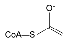 <strong>Passage Aldehydes are organic compounds encountered in everyday life and used as intermediates in metabolism. Common aldehydes include formaldehyde, which is used in the fixation of tissues, and cinnamaldehyde, which provides the flavor and smell of cinnamon (Figure 1). <strong>Figure 1</strong> Common aldehydesThe aldol condensation shown in Figure 2 is an important carbon-carbon bond-forming reaction that has many applications in the synthesis of bioactive molecules. It also takes place in some metabolic processes, such as the citric acid cycle and gluconeogenesis. The aldol condensation begins with the aldol reaction, which can be acid- or base-catalyzed and requires nucleophilic addition to a carbonyl to provide the aldol product, which can be a β-hydroxy ketone or aldehyde. The final step of the aldol condensation consists of an acid- or base-catalyzed dehydration of the aldol product to yield an α,β-unsaturated ketone or aldehyde. <strong>Figure 2</strong> General aldol reaction and condensationThe reverse of an aldol reaction or condensation is known as a retro-aldol, which is important in metabolism, most notably in glycolysis. This reaction breaks a carbon-carbon bond to form aldehydes and/or ketones. In glycolysis, fructose 1,6-bisphosphate is broken down into an aldehyde and a ketone, glyceraldehyde 3-phosphate (GAP) and dihydroxyacetone phosphate (DHAP), respectively (Figure 3). <strong>Figure 3</strong> Retro-aldol in glycolysis Which of the following compounds would be a plausible intermediate in the base-catalyzed aldol reaction of the first step of the citric acid cycle shown below? </strong> A) B) C) D)