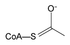 <strong>Passage Aldehydes are organic compounds encountered in everyday life and used as intermediates in metabolism. Common aldehydes include formaldehyde, which is used in the fixation of tissues, and cinnamaldehyde, which provides the flavor and smell of cinnamon (Figure 1). <strong>Figure 1</strong> Common aldehydesThe aldol condensation shown in Figure 2 is an important carbon-carbon bond-forming reaction that has many applications in the synthesis of bioactive molecules. It also takes place in some metabolic processes, such as the citric acid cycle and gluconeogenesis. The aldol condensation begins with the aldol reaction, which can be acid- or base-catalyzed and requires nucleophilic addition to a carbonyl to provide the aldol product, which can be a β-hydroxy ketone or aldehyde. The final step of the aldol condensation consists of an acid- or base-catalyzed dehydration of the aldol product to yield an α,β-unsaturated ketone or aldehyde. <strong>Figure 2</strong> General aldol reaction and condensationThe reverse of an aldol reaction or condensation is known as a retro-aldol, which is important in metabolism, most notably in glycolysis. This reaction breaks a carbon-carbon bond to form aldehydes and/or ketones. In glycolysis, fructose 1,6-bisphosphate is broken down into an aldehyde and a ketone, glyceraldehyde 3-phosphate (GAP) and dihydroxyacetone phosphate (DHAP), respectively (Figure 3). <strong>Figure 3</strong> Retro-aldol in glycolysis Which of the following compounds would be a plausible intermediate in the base-catalyzed aldol reaction of the first step of the citric acid cycle shown below? </strong> A) B) C) D)