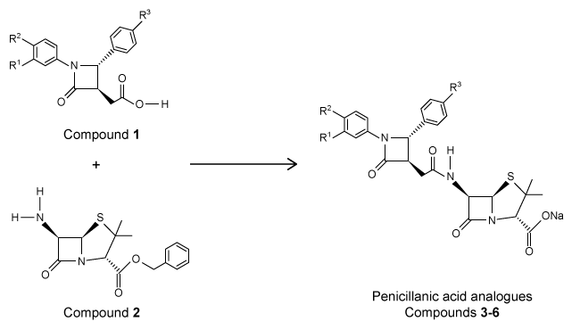 <strong>Passage The β-lactam scaffold is an important feature in a class of broad-spectrum antibiotics that includes the penicillins, cephalosporins, and monobactams.&nbsp; These antibiotics are used to treat a variety of diseases caused by bacteria.&nbsp; The penicillins work by inhibiting a step in the synthesis of peptidoglycan.&nbsp; However, the development of antibiotic resistance in the form of enzymes such as β-lactamase is an ongoing problem.An aromatic ring linked to the β-lactam ring has been reported to participate in hydrophobic interactions with β-lactamase active sites, and an aromatic ring bonded to the nitrogen of the β-lactam has shown to be beneficial to biological activity.&nbsp; With this in mind, researchers synthesized a group of penicillanic acid analogues with substituted aromatic rings bonded to the β-lactam ring in an effort to overcome the challenge of antibiotic resistance.&nbsp; The substituents on the aromatic rings were varied, including -OCH<sub>3</sub> and -NO<sub>2</sub>, to make several analogues.&nbsp; A key step in the synthesis of these analogues was the coupling of Compounds <strong>1</strong> and <strong>2</strong> to form a compound with two β-lactam rings (Reaction 1).   <strong>Reaction 1</strong>The researchers studied the analogues' structure-activity relationship and antimicrobial activity against the gram-negative bacteria Escherichia coli and the gram-positive bacteria Staphylococcus aureus.&nbsp; Ampicillin, a penicillin derivative used to treat illnesses brought about by gram-positive and gram-negative bacteria, was used as a control.&nbsp; The minimal inhibitory concentrations are shown in Table 1.<strong>Table 1</strong>&nbsp; Minimal Inhibitory Concentration (MIC)   The penicillanic acid analogues were tested for their effect on mammalian cell viability because toxicity to cells is also an important factor to consider for potential drug candidates.&nbsp; The general acceptable level of cell viability for a drug candidate is 70%.&nbsp; These results are shown in Figure 1.   <strong>Figure 1</strong>&nbsp; Cell viability assay results Adapted from De rosa M, Vigliotta G, Palma G, Saturnino C, Soriente A. Novel Penicillin-Type Analogues Bearing a Variable Substituted 2-Azetidinone Ring at Position 6: Synthesis and Biological Evaluation. Molecules. 2015. The preparation of Compound <strong>1</strong> begins with a carboxylic acid (CA) derivative undergoing nucleophilic acyl substitution with methanol under reflux conditions to form butanoic acid with a methyl ester substituent on carbon 4.&nbsp; Which structure was most likely the starting CA derivative?</strong> A)   B)   C)   D)   <div style=padding-top: 35px> 