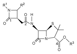 <strong>Passage The β-lactam scaffold is an important feature in a class of broad-spectrum antibiotics that includes the penicillins, cephalosporins, and monobactams.&nbsp; These antibiotics are used to treat a variety of diseases caused by bacteria.&nbsp; The penicillins work by inhibiting a step in the synthesis of peptidoglycan.&nbsp; However, the development of antibiotic resistance in the form of enzymes such as β-lactamase is an ongoing problem.An aromatic ring linked to the β-lactam ring has been reported to participate in hydrophobic interactions with β-lactamase active sites, and an aromatic ring bonded to the nitrogen of the β-lactam has shown to be beneficial to biological activity.&nbsp; With this in mind, researchers synthesized a group of penicillanic acid analogues with substituted aromatic rings bonded to the β-lactam ring in an effort to overcome the challenge of antibiotic resistance.&nbsp; The substituents on the aromatic rings were varied, including -OCH<sub>3</sub> and -NO<sub>2</sub>, to make several analogues.&nbsp; A key step in the synthesis of these analogues was the coupling of Compounds <strong>1</strong> and <strong>2</strong> to form a compound with two β-lactam rings (Reaction 1).   <strong>Reaction 1</strong>The researchers studied the analogues' structure-activity relationship and antimicrobial activity against the gram-negative bacteria Escherichia coli and the gram-positive bacteria Staphylococcus aureus.&nbsp; Ampicillin, a penicillin derivative used to treat illnesses brought about by gram-positive and gram-negative bacteria, was used as a control.&nbsp; The minimal inhibitory concentrations are shown in Table 1.<strong>Table 1</strong>&nbsp; Minimal Inhibitory Concentration (MIC)   The penicillanic acid analogues were tested for their effect on mammalian cell viability because toxicity to cells is also an important factor to consider for potential drug candidates.&nbsp; The general acceptable level of cell viability for a drug candidate is 70%.&nbsp; These results are shown in Figure 1.   <strong>Figure 1</strong>&nbsp; Cell viability assay results Adapted from De rosa M, Vigliotta G, Palma G, Saturnino C, Soriente A. Novel Penicillin-Type Analogues Bearing a Variable Substituted 2-Azetidinone Ring at Position 6: Synthesis and Biological Evaluation. Molecules. 2015. The precursor to Compounds <strong>3-6</strong> is shown below with carbonyl carbon atoms labeled.   Which of the carbonyl carbon atoms is most likely to undergo hydrolysis when treated with a weak acid at room temperature?</strong> A)Carbon 1 only B)Carbons 1, 2, and 3 only C)Carbons 1 and 4 only D)Carbon 4 only <div style=padding-top: 35px> 