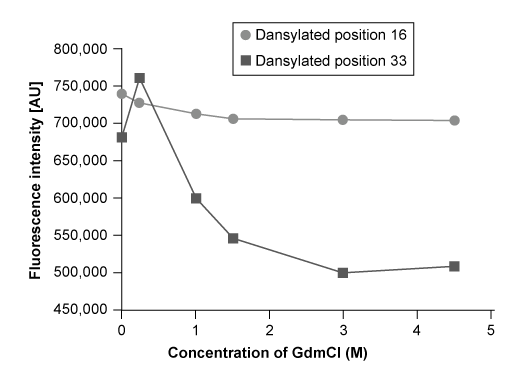 <strong>Passage Fluorescent amino acids are useful for labeling proteins because they can be visualized spectroscopically, facilitating the study of protein structure and interactions.&nbsp; The noncanonical amino acid dansylalanine, a fluorescent amino acid that is sensitive to the hydrophobicity of its environment, is a good candidate to be incorporated into proteins because of its small size and fluorescent capabilities.&nbsp; Dansyl chloride and Compound 1 were used to synthesize dansylalanine, as shown in Reaction 1.&nbsp; Dansylalanine absorbs maximally at 340 nm and emits at approximately 540 nm.   <strong>Reaction 1</strong>&nbsp; Synthesis of dansylalanineA leucyl-tRNA synthetase from Escherichia coli was engineered to aminoacylate bacterial tRNAs containing a CUA anticodon with dansylalanine.&nbsp; After verifying that the tRNA/synthetase pair does not interact with endogenous amino acids or tRNAs, it was transfected into the yeast Saccharomyces cerevisiae along with a plasmid encoding a mutated human superoxide dismutase (hSOD).&nbsp; Using this system, dansylalanine was genetically incorporated into hSOD in place of either Gln-16 or Trp-33, and expressed in S. cerevisiae.Position 16 is located on the surface of hSOD at the N-terminus of a β-strand, and position 33 lies in the center of a strand within a β-barrel.&nbsp; To probe changes in the structure of hSOD, researchers exposed the purified protein to guanidinium chloride (GdmCl) to denature the protein at concentrations ranging 0-4.5 M.&nbsp; The experiment was conducted in a 35 mM sodium phosphate buffer at pH 7.2.&nbsp; The fluorescence of hSOD with dansylalanine at either position 16 or 33 was monitored at each GdmCl concentration, and the results of the unfolding experiment are shown in Figure 1.   <strong>Figure 1</strong>&nbsp; Plot of dansylalanine fluorescence at different concentrations of GdmCl Adapted from Summerer D, Chen S, Wu N, Deiters A, Chin JW, Schultz PG. A genetically encoded fluorescent amino acid. Proc Natl Acad Sci USA. 2006. What is the charge of the N-terminus during the protein unfolding experiment?</strong> A)+1, because the amine group is not protonated B)+1, because the amine group is in the conjugate acid form C)0, because the amine group is protonated D)0, because the amine group is in the conjugate base form <div style=padding-top: 35px> 