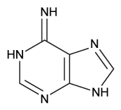 <strong>Which structure is a tautomer of guanine?</strong> A) B) C) D)