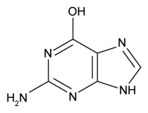 <strong>Which structure is a tautomer of guanine?</strong> A) B) C) D)