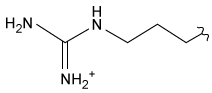 Passage Malaria is caused by the parasite Plasmodium falciparum and is transmitted through a female mosquito bite. Although there are antimalarial treatments available, P. falciparum has become resistant to many of these drugs. P. falciparum cells contain a respiratory organelle called the apicoplast that is necessary for the parasite's survival but is not found in humans. Therefore, a new drug that targets this organelle could be useful in the treatment of malaria.A portion of the apicoplast protein ferredoxin (PfFd) is shown in Figure 1, with certain amino acid residues labeled. In the apicoplast, ferredoxin NADP<sup>+</sup> reductase (PfFNR) interacts electrostatically with PfFd and catalyzes an electron transfer reaction. A compound that selectively inhibits this interaction could be a beneficial antimalarial agent. <strong>Figure 1</strong> Structure of a portion of PfFdChalcone (Compound <strong>3</strong>) is a compound that interacts with PfFd and exhibits antimalarial properties. A series of chalcone derivatives (Compounds <strong>4-8</strong>) were synthesized via the aldol condensation shown in Scheme <strong>1</strong>, where nucleophilic addition of Compound <strong>1</strong> to Compound <strong>2</strong> is followed by elimination to yield α,β-unsaturated carbonyl molecules, Compounds <strong>3-8</strong>. <strong>Scheme 1</strong>An inhibition assay was performed to compare chalcone (Compound <strong>3</strong>) and its derivatives by determining the extent to which these compounds inhibited electron transfer between PfFNR and PfFd (Table 1) .<strong>Table 1</strong> Inhibition of electron transfer assay results Adapted from H. Suwito et al. Design and synthesis of chalcone derivatives as inhibitors of the ferredoxin - ferredoxin-NADP+ reductase interaction of Plasmodium falciparum: pursuing new antimalarial agents. Molecules. ©2014 MDPI. -Which amino acid residue on PfFNR most likely interacts with the residues of PfFd shown in Figure 1? A) B) C) D)