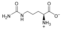 Citrulline is an important component in the urea cycle and in the cellular production of nitric oxide (NO) . When L-arginine is oxidized via a nitric oxide synthase (NOS) enzyme, it results in the formation of L-citrulline and the release of NO(g) . Which structure most likely corresponds to citrulline? A) B) C) D)