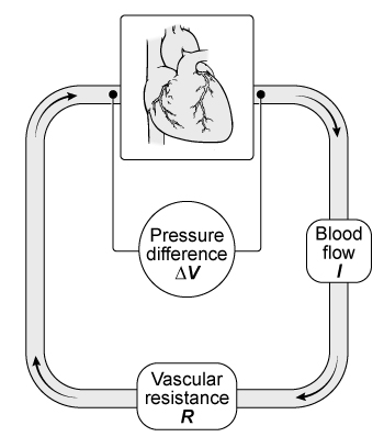 Passage In hemodynamics, blood flow through the cardiovascular system can be modeled as an electric circuit in which the blood serves as electricity, the blood vessels as resistive wires, and the heart as a battery (see Figure 1) .    <strong>Figure 1</strong>  Cardiovascular circuit modelOhm's law states that the voltage drop ΔV across each element, the current I flowing through it, and its electrical resistance R are related by ΔV = IR.  In a blood vessel, pressure difference between one vessel and the next ΔP replaces ΔV, volumetric blood flow Q replaces I, and vascular resistance R replaces electrical resistance.  Therefore, Ohm's law for blood flow in a vessel isΔP = QR<strong>Equation 1</strong>Vascular resistance is due to the blood's viscosity η and the dimensions of the vessel through which it flows.  Assuming blood vessels are cylinders, R can be approximated as    <strong>Equation 2</strong>where L is the length of the vessel, and r is its inner radius.  If Equation 2 is combined with Equation 1, the resulting equation is Poiseuille law.In a study of the circulatory system in rats, researchers measured the intravascular blood pressure of the mesenteric blood vessels.  The mesentery is the set of tissues that holds the intestines in place.  Blood flows in the following order:  aorta, superior mesenteric artery (SMA) , arterial arcade, venous arcade, superior mesenteric vein (SMV) .For the procedure, catheters with pressure transducers were inserted into each vessel via laparotomy.  Laparotomy is an invasive procedure that involves a surgical incision into the abdominal cavity.  Blood pressure measurements were taken simultaneously at the proximal end (beginning)  of each blood vessel.    <strong>Figure 2</strong>  Mesenteric blood pressure profile of rats (Note: SMA = superior mesenteric artery; SMV = superior mesenteric vein.)  -Which of the following can be used as units for η in Equation 2? A) Pa⋅m2⋅ B)   C) Pa⋅s D)   
