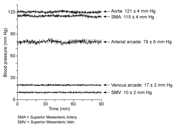 Passage In hemodynamics, blood flow through the cardiovascular system can be modeled as an electric circuit in which the blood serves as electricity, the blood vessels as resistive wires, and the heart as a battery (see Figure 1) .    <strong>Figure 1</strong>  Cardiovascular circuit modelOhm's law states that the voltage drop ΔV across each element, the current I flowing through it, and its electrical resistance R are related by ΔV = IR.  In a blood vessel, pressure difference between one vessel and the next ΔP replaces ΔV, volumetric blood flow Q replaces I, and vascular resistance R replaces electrical resistance.  Therefore, Ohm's law for blood flow in a vessel isΔP = QR<strong>Equation 1</strong>Vascular resistance is due to the blood's viscosity η and the dimensions of the vessel through which it flows.  Assuming blood vessels are cylinders, R can be approximated as    <strong>Equation 2</strong>where L is the length of the vessel, and r is its inner radius.  If Equation 2 is combined with Equation 1, the resulting equation is Poiseuille law.In a study of the circulatory system in rats, researchers measured the intravascular blood pressure of the mesenteric blood vessels.  The mesentery is the set of tissues that holds the intestines in place.  Blood flows in the following order:  aorta, superior mesenteric artery (SMA) , arterial arcade, venous arcade, superior mesenteric vein (SMV) .For the procedure, catheters with pressure transducers were inserted into each vessel via laparotomy.  Laparotomy is an invasive procedure that involves a surgical incision into the abdominal cavity.  Blood pressure measurements were taken simultaneously at the proximal end (beginning)  of each blood vessel.    <strong>Figure 2</strong>  Mesenteric blood pressure profile of rats (Note: SMA = superior mesenteric artery; SMV = superior mesenteric vein.)  -Which of the following can be used as units for η in Equation 2? A) Pa⋅m2⋅ B)   C) Pa⋅s D)   