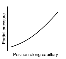 <strong>Passage When present in the bloodstream above a threshold partial pressure, a general anesthetic blocks the sensation of pain, induces a state of unconsciousness, and causes muscle paralysis.  Many anesthetic agents are administered in their gaseous phase and are absorbed into the bloodstream through the lungs.  The rate of diffusion V<sub>gas</sub> of an anesthetic across the alveolar membrane with a surface area A and a thickness T is described by the Fick law of diffusion:   Vgas=DAΔPT<strong>Equation 1</strong>where D is the diffusion coefficient specific for the gas and ΔP is the partial pressure difference across the membrane.An inhaled anesthetic is described by its blood-gas partition coefficient, the ratio of the anesthetic's concentration in the blood to its concentration in the lungs when the partial pressures are equal.  The concentration C of an anesthetic gas dissolved in blood is described by the Henry law of solubility:   C=kHPgas<strong>Equation 2</strong>where k<sub>H</sub> is the solubility constant specific for the gas and P<sub>gas</sub> is the partial pressure of the gas.Due to the paralytic effects of general anesthetics, mechanical ventilators are usually necessary to assist a patient's breathing during surgery.  Positive-pressure ventilators are noninvasive and use external pumps to induce inspiration by forcing air into the lungs through a ventilation mask.  Despite the paralytic effects of general anesthesia, patients are often capable of expiration without the active aid of a mechanical ventilator. Which of the following graphs best depicts the anesthetic partial pressure along the length of the pulmonary capillaries when it is first administered?</strong> A)   B)   C)   D)   <div style=padding-top: 35px> 