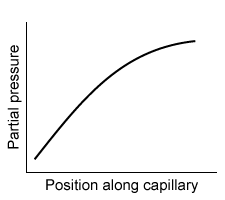 <strong>Passage When present in the bloodstream above a threshold partial pressure, a general anesthetic blocks the sensation of pain, induces a state of unconsciousness, and causes muscle paralysis.  Many anesthetic agents are administered in their gaseous phase and are absorbed into the bloodstream through the lungs.  The rate of diffusion V<sub>gas</sub> of an anesthetic across the alveolar membrane with a surface area A and a thickness T is described by the Fick law of diffusion:   Vgas=DAΔPT<strong>Equation 1</strong>where D is the diffusion coefficient specific for the gas and ΔP is the partial pressure difference across the membrane.An inhaled anesthetic is described by its blood-gas partition coefficient, the ratio of the anesthetic's concentration in the blood to its concentration in the lungs when the partial pressures are equal.  The concentration C of an anesthetic gas dissolved in blood is described by the Henry law of solubility:   C=kHPgas<strong>Equation 2</strong>where k<sub>H</sub> is the solubility constant specific for the gas and P<sub>gas</sub> is the partial pressure of the gas.Due to the paralytic effects of general anesthetics, mechanical ventilators are usually necessary to assist a patient's breathing during surgery.  Positive-pressure ventilators are noninvasive and use external pumps to induce inspiration by forcing air into the lungs through a ventilation mask.  Despite the paralytic effects of general anesthesia, patients are often capable of expiration without the active aid of a mechanical ventilator. Which of the following graphs best depicts the anesthetic partial pressure along the length of the pulmonary capillaries when it is first administered?</strong> A)   B)   C)   D)   <div style=padding-top: 35px> 