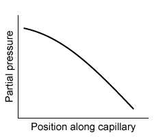 <strong>Passage When present in the bloodstream above a threshold partial pressure, a general anesthetic blocks the sensation of pain, induces a state of unconsciousness, and causes muscle paralysis.  Many anesthetic agents are administered in their gaseous phase and are absorbed into the bloodstream through the lungs.  The rate of diffusion V<sub>gas</sub> of an anesthetic across the alveolar membrane with a surface area A and a thickness T is described by the Fick law of diffusion:   Vgas=DAΔPT<strong>Equation 1</strong>where D is the diffusion coefficient specific for the gas and ΔP is the partial pressure difference across the membrane.An inhaled anesthetic is described by its blood-gas partition coefficient, the ratio of the anesthetic's concentration in the blood to its concentration in the lungs when the partial pressures are equal.  The concentration C of an anesthetic gas dissolved in blood is described by the Henry law of solubility:   C=kHPgas<strong>Equation 2</strong>where k<sub>H</sub> is the solubility constant specific for the gas and P<sub>gas</sub> is the partial pressure of the gas.Due to the paralytic effects of general anesthetics, mechanical ventilators are usually necessary to assist a patient's breathing during surgery.  Positive-pressure ventilators are noninvasive and use external pumps to induce inspiration by forcing air into the lungs through a ventilation mask.  Despite the paralytic effects of general anesthesia, patients are often capable of expiration without the active aid of a mechanical ventilator. Which of the following graphs best depicts the anesthetic partial pressure along the length of the pulmonary capillaries when it is first administered?</strong> A)   B)   C)   D)   <div style=padding-top: 35px> 