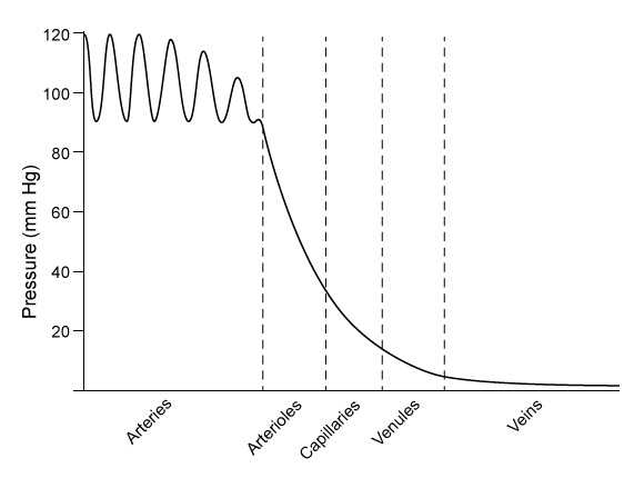 Passage In the event of end-stage heart failure, a left ventricular assist device (LVAD)  can be used as a heart transplant bridge to keep a patient alive.  The first iterations of LVADs were pulsatile and mimicked the physiological pumping action of the heart (Figure 1) .    <strong>Figure 1</strong>  A pulsatile-flow LVAD schematicA pulsatile-flow LVAD assists ventricular systole by mechanically pumping blood from a weakened left ventricle into the aorta through a pair of one-way valves.  The pressure differential ΔP generated by the pump is related to cardiac output (CO)  and vascular resistance (VR) :ΔP = CO × VR<strong>Equation 1</strong>The efficiency and performance of the heart (or LVAD)  can be determined by the patient's cardiac pressure-volume (PV)  loop.  A cardiac PV loop plots the pressure and volume of the blood in the left ventricle throughout a single cardiac cycle (Figure 2) .    <strong>Figure 2</strong>  Cardiac PV Loop of a pulsatile-flow LVADBlood pressure is often represented by only two numbers:  arterial systolic and diastolic pressures.  A more detailed representation of blood pressures is shown in a blood pressure profile, which graphs the blood pressure throughout the length of the different vessel groups (Figure 3) .  Multiple pressure fluctuations are shown within a vessel because the pressure is traced across multiple cardiac cycles.    <strong>Figure 3</strong>  Blood pressure profile of the different vessels -  In the above figure, an LVAD pump is placed at one end of a  U -shaped container, and a force gauge is placed at the other end.  If the container is filled with an incompressible fluid, what is the ratio of the force measured by the force gauge to the force exerted by the LVAD? A) 1:4 B) 1:2 C) 1:1 D) 4:1