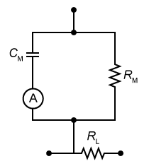 Passage Cable theory is a mathematical model used to calculate currents and voltages along and across axon membranes.  The model treats small sections of the membrane as the resistor-capacitor circuit shown in Figure 1.  An electric neuronal signal enters the circuit through the input node.  A portion of the signal remains inside the axon and continues to the next section of membrane via Output 1, and the rest of the signal exits to the extracellular fluid via Output 2.    <strong>Figure 1</strong>  Circuit unit used to model axon membranesResearchers studied cable theory by recreating the circuit in Figure 1 using a 2 μF capacitor for C<sub>M</sub>, a 200 Ω resistor for R<sub>M</sub>, and a 1,000 Ω resistor for R<sub>L</sub>.  The researchers sent an electrical signal through the input and discovered that the capacitor acted as a resistor whose resistance varied with the signal's frequency, as shown in Figure 2.    <strong>Figure 2</strong>  Capacitor equivalent resistance vs. signal frequency for C<sub>M</sub> Adapted from Tuckwell H, Introduction to Theoretical Neurobiology 2006 SIAM. -  An ammeter is added to the circuit as shown.  The voltage across the capacitor is kept constant while the frequency is increased from 200 Hz to 400 Hz.  Through this change, the value shown by the ammeter: A) will decrease by 50%. B) will not change. C) will increase by 50%. D) will increase by 100%.
