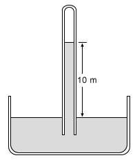 Atmospheric pressure on a distant planet causes water to rise to a height of 10 m inside an evacuated tube with its open end immersed in a container of water open to ambient pressure.   What is the atmospheric pressure?  (Note: The density of water is 10<sup>3</sup> kg/m<sup>3</sup> and the gravitational acceleration is 20 m/s<sup>2</sup>)  A) 2 x 10<sup>4</sup> N/m<sup>2</sup> B) 2 x 10<sup>5</sup> N/m<sup>2</sup> C) 2 x 10<sup>6</sup> N/m<sup>2</sup> D) 2 x 10<sup>7</sup> N/m<sup>2</sup>