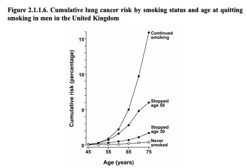 Consider the data on cumulative lung cancer risk shown in the graph. Which of the following best describes the likely order of events?   A) Genetic susceptibility, never smoked, cancer, early death at any time during the lifespan B) Smoking until age 50, genetic susceptibility, death, cancer C) Genetic susceptibility, smoking until age 30, high percent risk of death before 55 years D) Genetic susceptibility, continued smoking after 65 years old, cancer, high percent risk of death