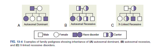 Situation  A 30-year-old woman informs you that she is 3 months' pregnant. She has two children with her current husband. This pregnancy was unplanned, and her youngest child has cystic fibrosis (CF). She expresses concern regarding the possibility of having another child with CF. She mentions that she would like to have genetic testing on her fetus. Her husband asks you what the likelihood is of having another child with CF. Ethical/Legal Points for Consideration  • With genetic testing, the patient and her family can find out whether their child will have CF. The woman and her husband can then make an informed decision. • Genetic counseling is recommended before and after obtaining genetic testing because of the complexity of the information and the\ emotional issues involved with implications and options. • Knowing that CF is an autosomal recessive condition, you can use Punnett squares (see Fig. 13-9) or a family pedigree (see Figs. 13-4 and 13-5) to show the woman and her husband the probability of having another child with CF. 1. What information would you give the patient and her husband regarding genetic testing in order for them to make an informed decision  2. What options are available for this couple  3. How would you assist this couple as they are considering terminating the pregnancy if the results of the genetic testing reveal that the fetus will have CF  Reference 1:     Reference 2:       