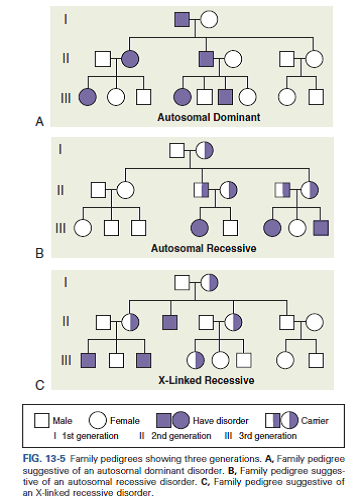 Situation A 30-year-old woman informs you that she is 3 months' pregnant. She has two children with her current husband. This pregnancy was unplanned, and her youngest child has cystic fibrosis (CF). She expresses concern regarding the possibility of having another child with CF. She mentions that she would like to have genetic testing on her fetus. Her husband asks you what the likelihood is of having another child with CF. Ethical/Legal Points for Consideration • With genetic testing, the patient and her family can find out whether their child will have CF. The woman and her husband can then make an informed decision. • Genetic counseling is recommended before and after obtaining genetic testing because of the complexity of the information and the\ emotional issues involved with implications and options. • Knowing that CF is an autosomal recessive condition, you can use Punnett squares (see Fig. 13-9) or a family pedigree (see Figs. 13-4 and 13-5) to show the woman and her husband the probability of having another child with CF. 1. What information would you give the patient and her husband regarding genetic testing in order for them to make an informed decision 2. What options are available for this couple 3. How would you assist this couple as they are considering terminating the pregnancy if the results of the genetic testing reveal that the fetus will have CF Reference 1: Reference 2: