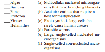 Match the following microorganisms with the description that best applies:   