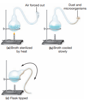 Use the following diagram to explain how Pasteur's swan necked flasks prevent contamination of sterile broth the flasks. Describe what happens to the sterile broth (a) after it has been allowed to cool as in (b). What happens to the broth after the flask has been tipped enough to let the broth come in contact with the dust and microorganisms and is tipped back as in (c)?