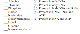 Match the following terms:   