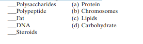 Match the following macromolecules:   