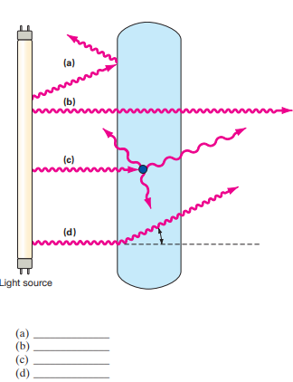 Define and contrast absorption, reflection, transmission, and refraction. Identify each on the following diagram.   