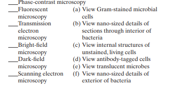 Match the following microscopic techniques with their respective functions   
