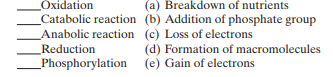 Match the following chemical processes: