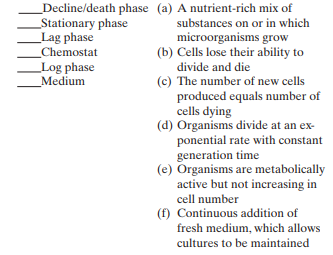 Match the following growth phase terms to their definitions: