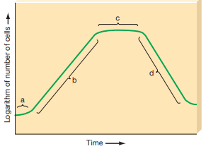 Identify the position of each of the following on the accompanying graph: ---Organisms divide at their most rapid rate ---New cells are produced at same rate as old cells die ---Lag phase ---Log phase ---Many cells undergo involution and death   